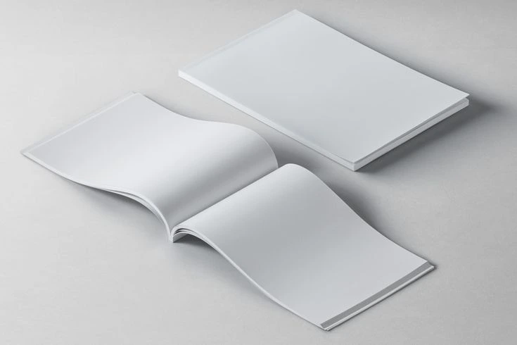 Catálogos y Revistas NPSS