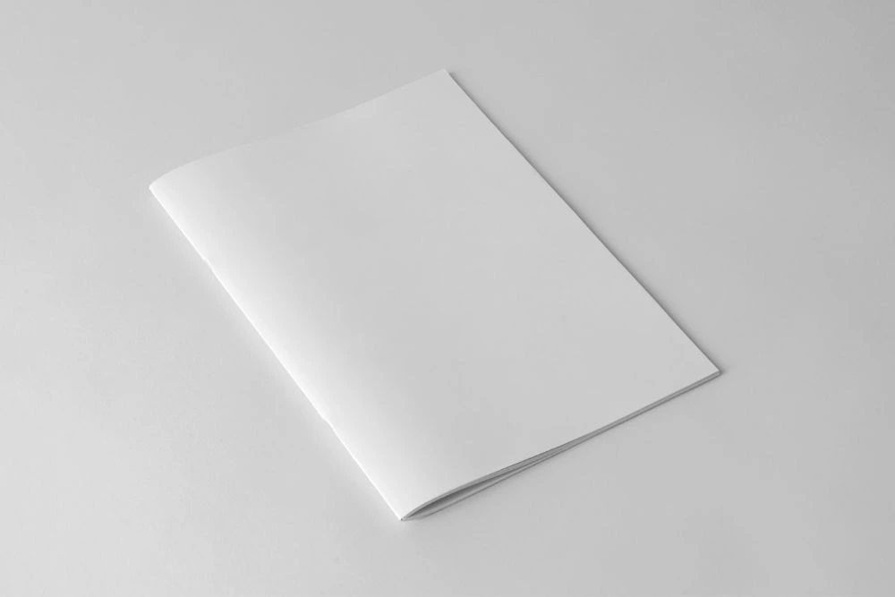 Catálogos y Revistas NPSS